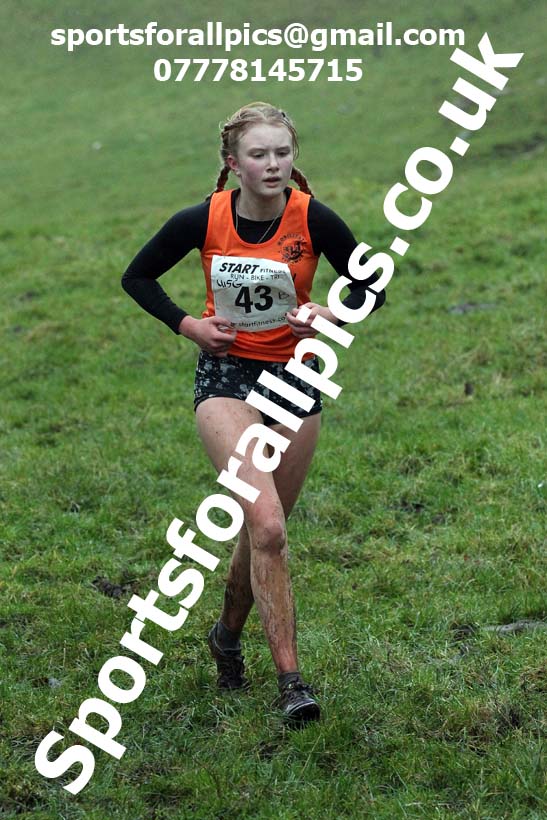 Girls under-15s, NECAA Junior Cross Country Relays, Thornley Farm, Peterlee, Saturday, December 12th. Photo: David T. Hewitson/Sports for All Pics